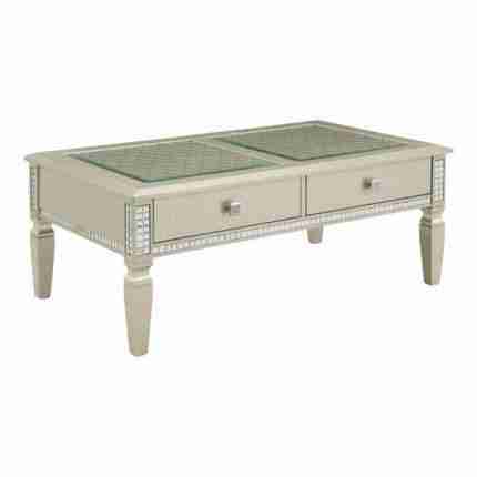Starra 48 in. Silver Rectangle Glass Top-1
